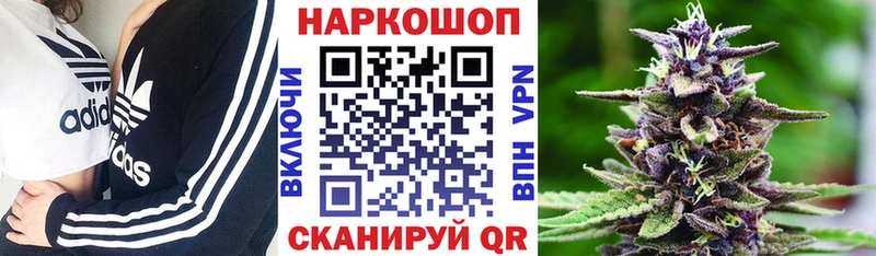 Сколько стоит Новороссийск Alpha-PVP  МАРИХУАНА 