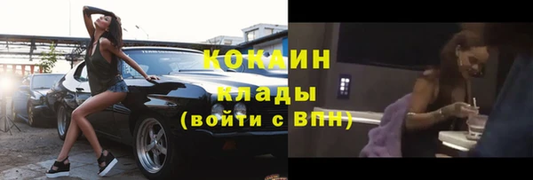 сатива Бронницы