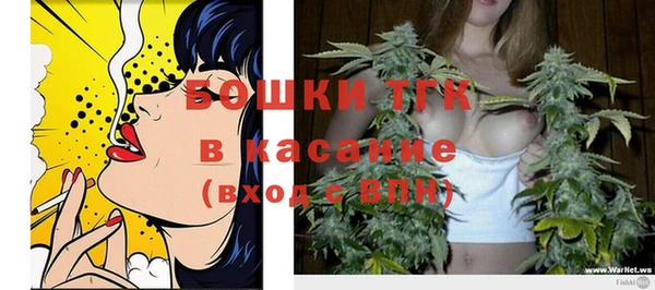 индика Верхнеуральск