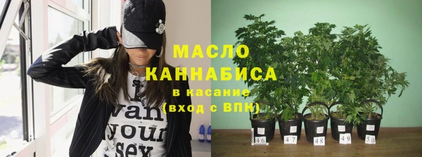 PSILOCYBIN Кедровый