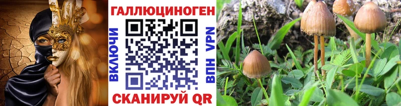 Псилоцибиновые грибы GOLDEN TEACHER  Новороссийск 