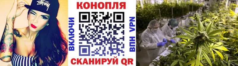 Бошки марихуана план  Новороссийск 